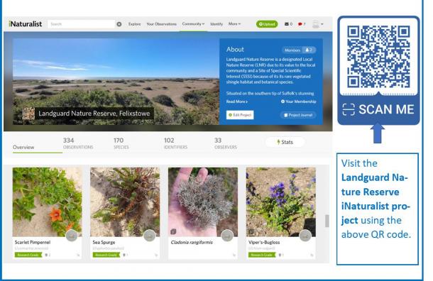 iNaturalist - citizen science project for Landguard launched