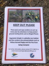 The annual post and rope cordons going up on the Nature Reserve on Wednesday 23 