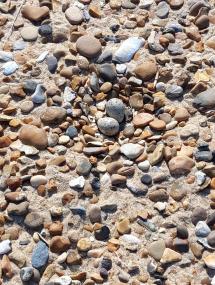 Ringed plover eggs... can you spot them?