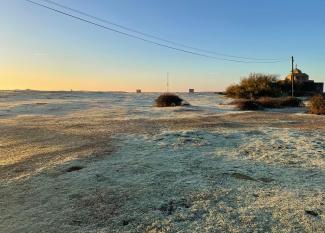 A New Year - a frosty morning