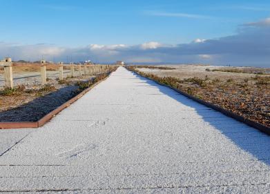 A New Year - wintery boardwalk