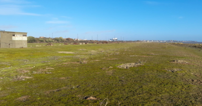 Landguard's Lush Carpets