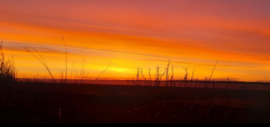 The Public Space Protection Order at Landguard Nature Reserve - sunset