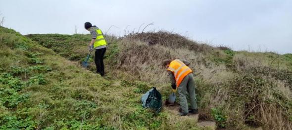 Volunteering at Landguard Nature Reserve